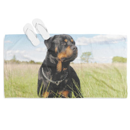 Plážová osuška - Rottweiler