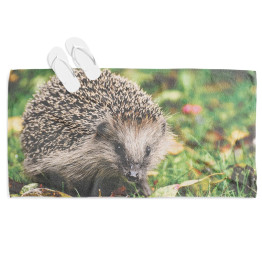 Osuška na pláž - Hedgehog