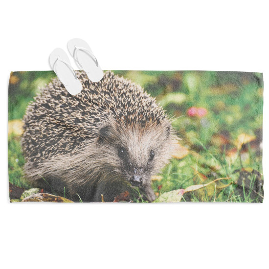 Osuška na pláž - Hedgehog