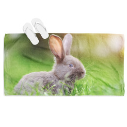 Osuška na pláž - Rabbit in the Grass