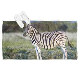 Plážová osuška - Zebra