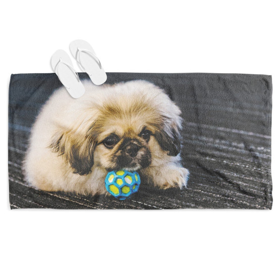 Plážový ručník - Pekingese