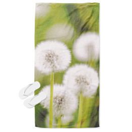 Plážová osuška - Dandelion