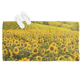 Osuška plážová - Sunflower Field