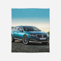Kvalitni deka - Skoda
