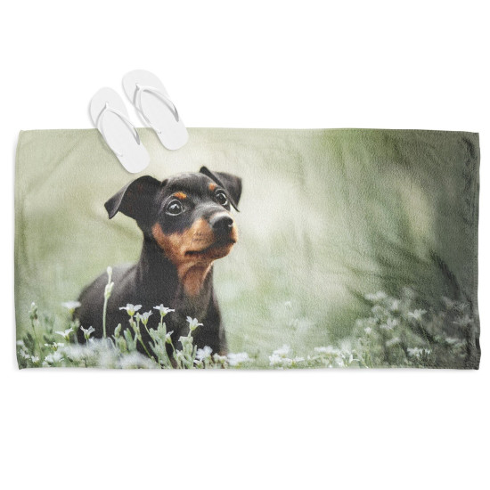 Plážový ručník - Pinscher