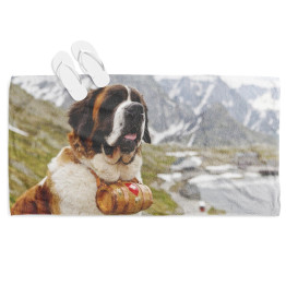 Osuška na pláž - St. Bernard