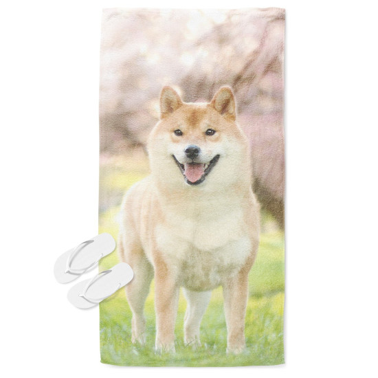 Osuška plážová - Shiba Inu