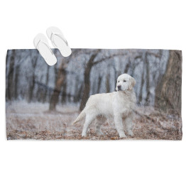 Plážový ručník - Akbash Dog