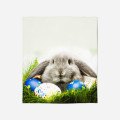 Hebká Velikonoční deka - Easter Bunny