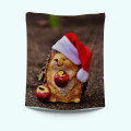 Kvalitni Vánoční deka - Christmas Hedgehod