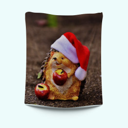 Kvalitni Vánoční deka - Christmas Hedgehod