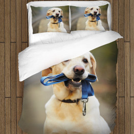 Povlečení pejsci - Labrador