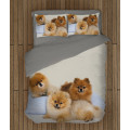 Povlečení psi - Pomeranian Babies