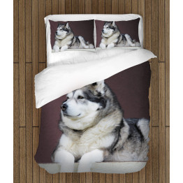 Kvalitex povlečení - Alaskan Malamute
