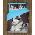 Kvalitex povlečení - Alaskan Malamute