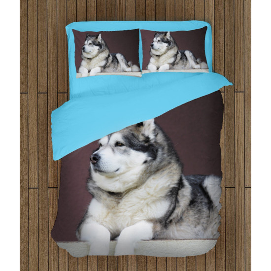 Kvalitex povlečení - Alaskan Malamute