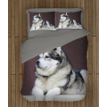 Kvalitex povlečení - Alaskan Malamute