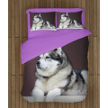 Kvalitex povlečení - Alaskan Malamute