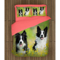 Povlečení pes - Baby Collies