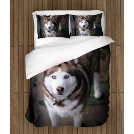 Lůžkoviny - Husky Brown
