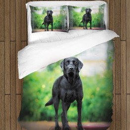 Povlečení - Black Labrador