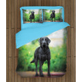 Povlečení - Black Labrador