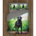 Povlečení - Black Labrador