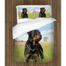 Kvalitní povlečení - Rottweiler