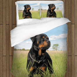 Kvalitní povlečení - Rottweiler