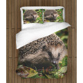 Ložní prádlo - Hedgehog