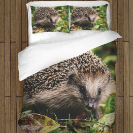 Ložní prádlo - Hedgehog