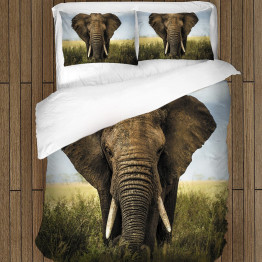 Moderní povlečení - Savanna Elephant