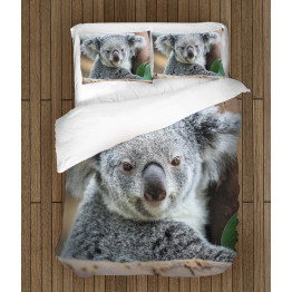 Kvalitní povlečení - Koala