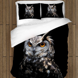 Povlečení sova - Owlet