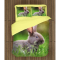 Povlečení králíček - Rabbit in the Grass