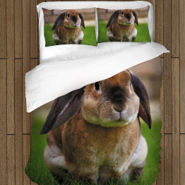 Povlečení králíček - Rabbit