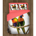Krásné povlečení - Colorful Parrots