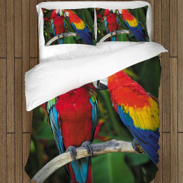 Kvalitní povlečení - Couple Parrots