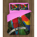 Kvalitní povlečení - Couple Parrots