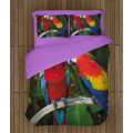 Kvalitní povlečení - Couple Parrots