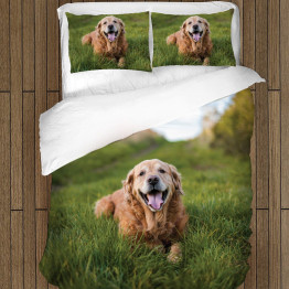 Povlečení - Golden Retriever