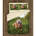 Povlečení - Golden Retriever