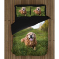 Povlečení - Golden Retriever