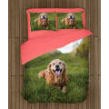 Povlečení - Golden Retriever