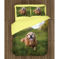 Povlečení - Golden Retriever