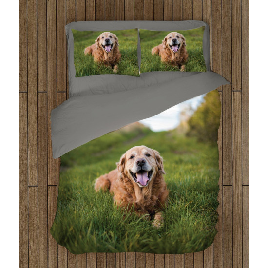 Povlečení - Golden Retriever