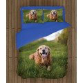 Povlečení - Golden Retriever