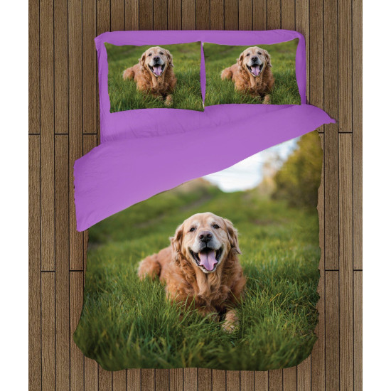 Povlečení - Golden Retriever