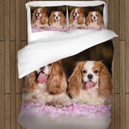 Povlečení - King Charles Spaniel